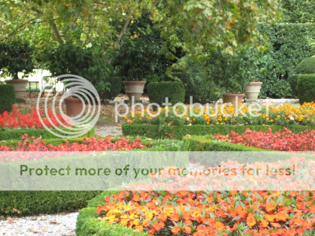 128.jpg Flower Gardens image by Vitadeb