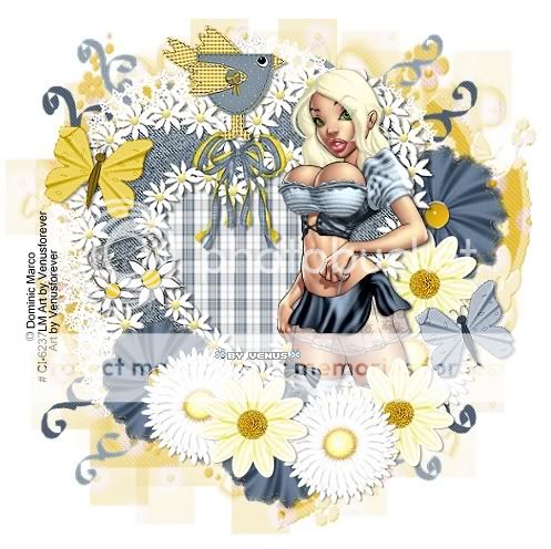  photo gal395DaisyDaysbyVenus.jpg