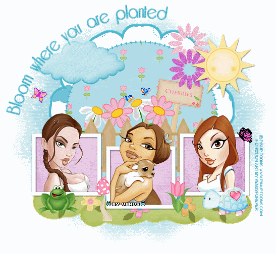  photo gal479GardenBloomsbyVenus.gif