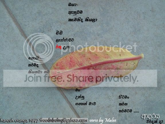 Adaraya28092008.jpg